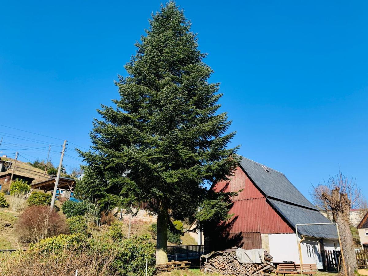 Naturhof Kluge Saupsdorf Eksteriør billede