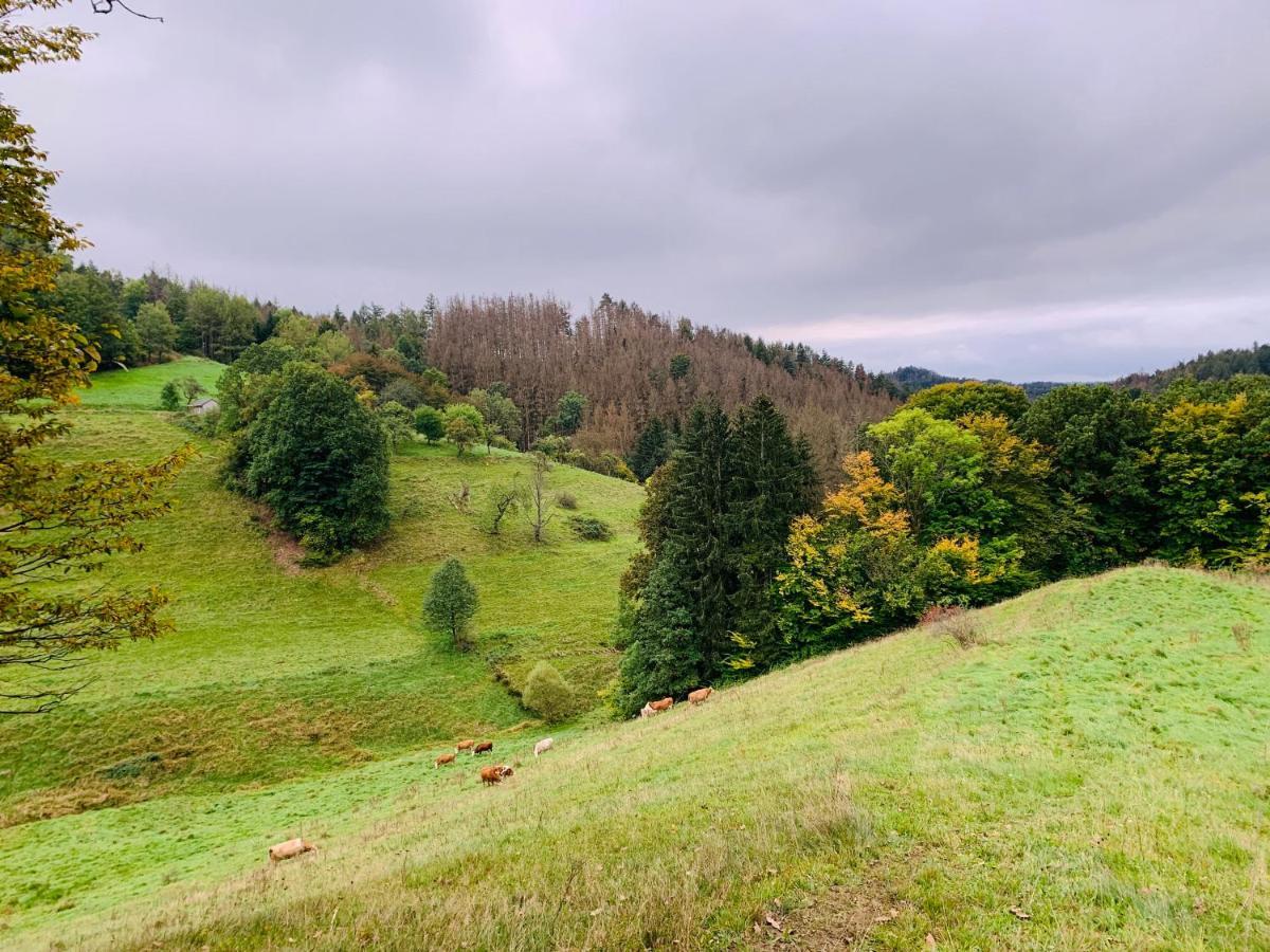Naturhof Kluge Saupsdorf Eksteriør billede