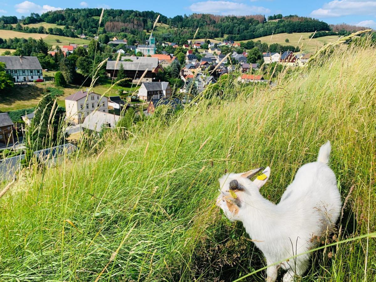 Naturhof Kluge Saupsdorf Eksteriør billede