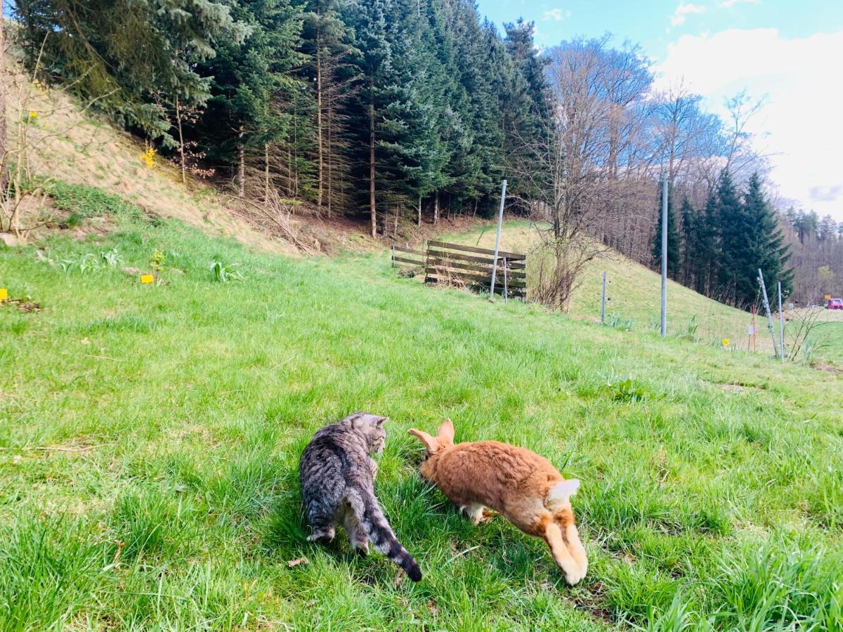 Naturhof Kluge Saupsdorf Eksteriør billede