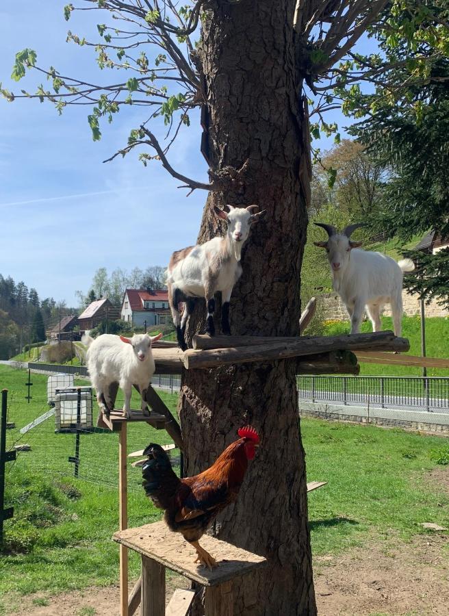 Naturhof Kluge Saupsdorf Eksteriør billede